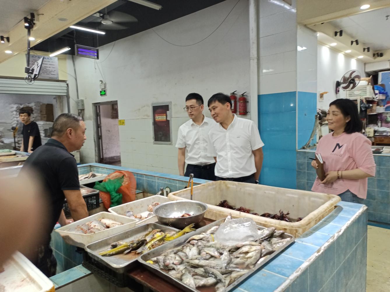 管好“菜籃子”，守護(hù)“大民生”國資運(yùn)營公司開展菜市場大巡查