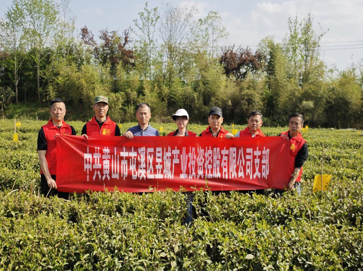 昱城產(chǎn)投公司黨支部開展“茶香潤初心，黨旗映茶園”主題黨日活動(dòng)