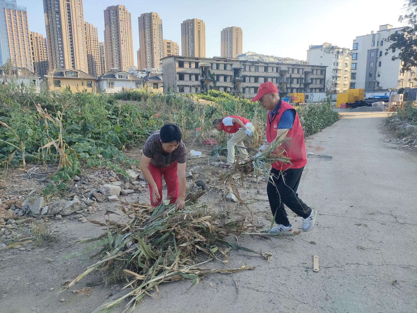 黨員進社區(qū)：守護綠色家園，彰顯國企擔當