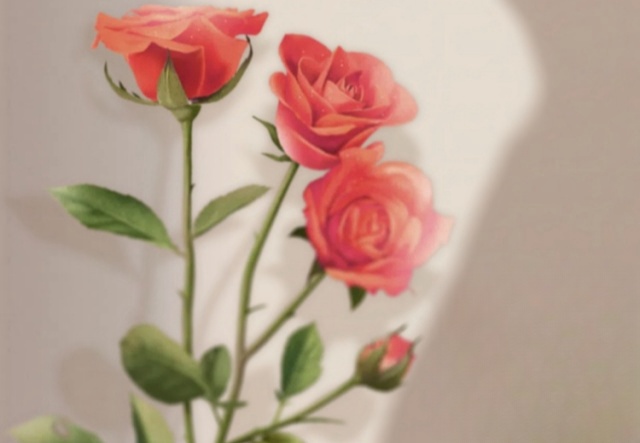 祝天下女神們節(jié)日快樂?。。? ></a>
                        <a href=